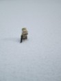 /album/galerie-photos/soldat-lego-hoth-neige-jpg/